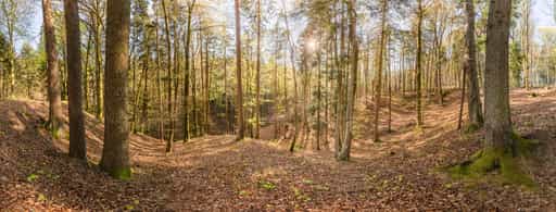 Waldpanorama Anzenberg, Perach, Altötting, Oberbayern