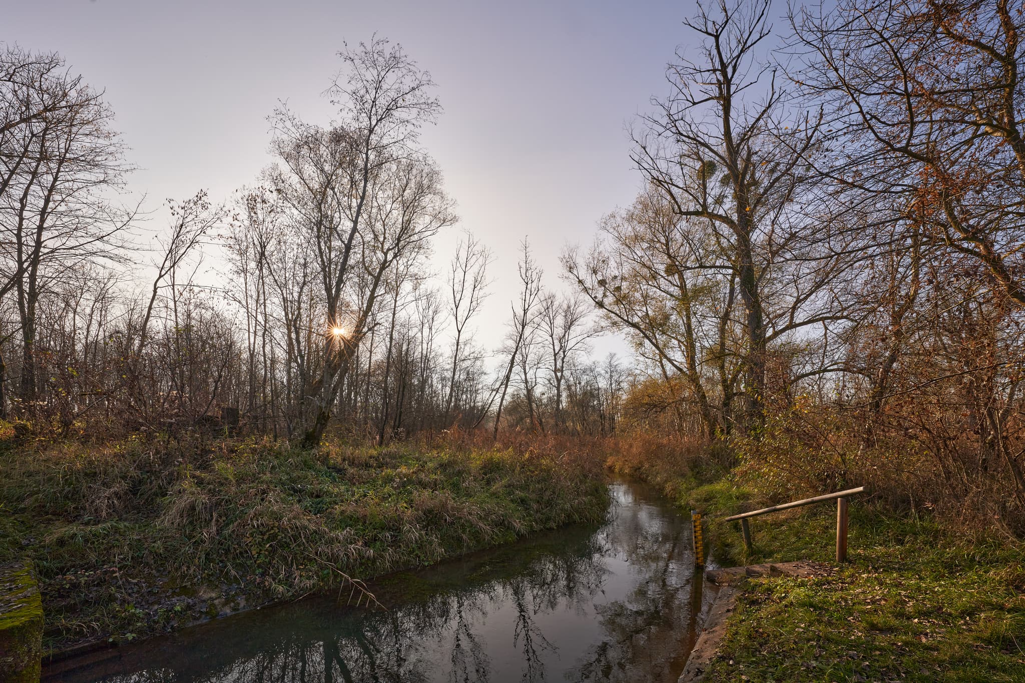Waldsee Lago Herbst, Kirchdorf am Inn, NdB, Bäderdreieck - Herbstlandschaft am Gewässer in Kirchdorf am Inn, Rottal-Inn, Niederbayern. Bachlauf durch herbstliche Bäume und Vegetation, beleuchtet von Sonnenstrahlen.