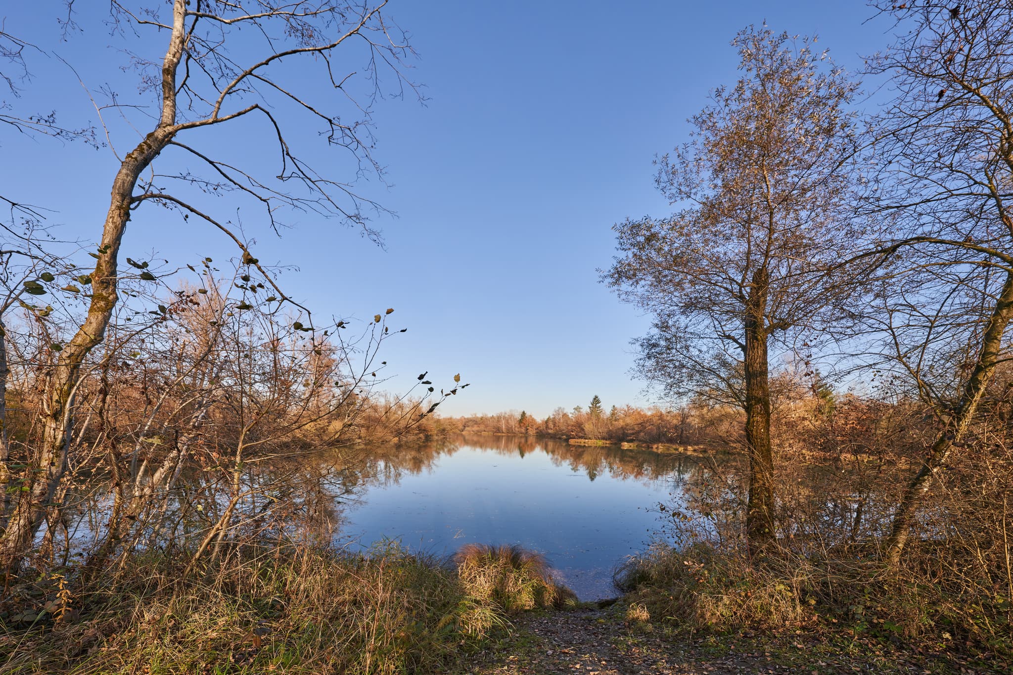 Waldsee Lago Herbst, Kirchdorf am Inn, Niederbayern - Waldsee bei Kirchdorf am Inn, Rottal-Inn. Wasser spiegelt blauen Himmel. Herbstliche Ufervegetation und Bäume prägen die Landschaft. Niederbayern.