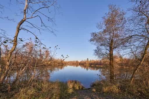 Waldsee Lago Herbst, Kirchdorf am Inn, Niederbayern