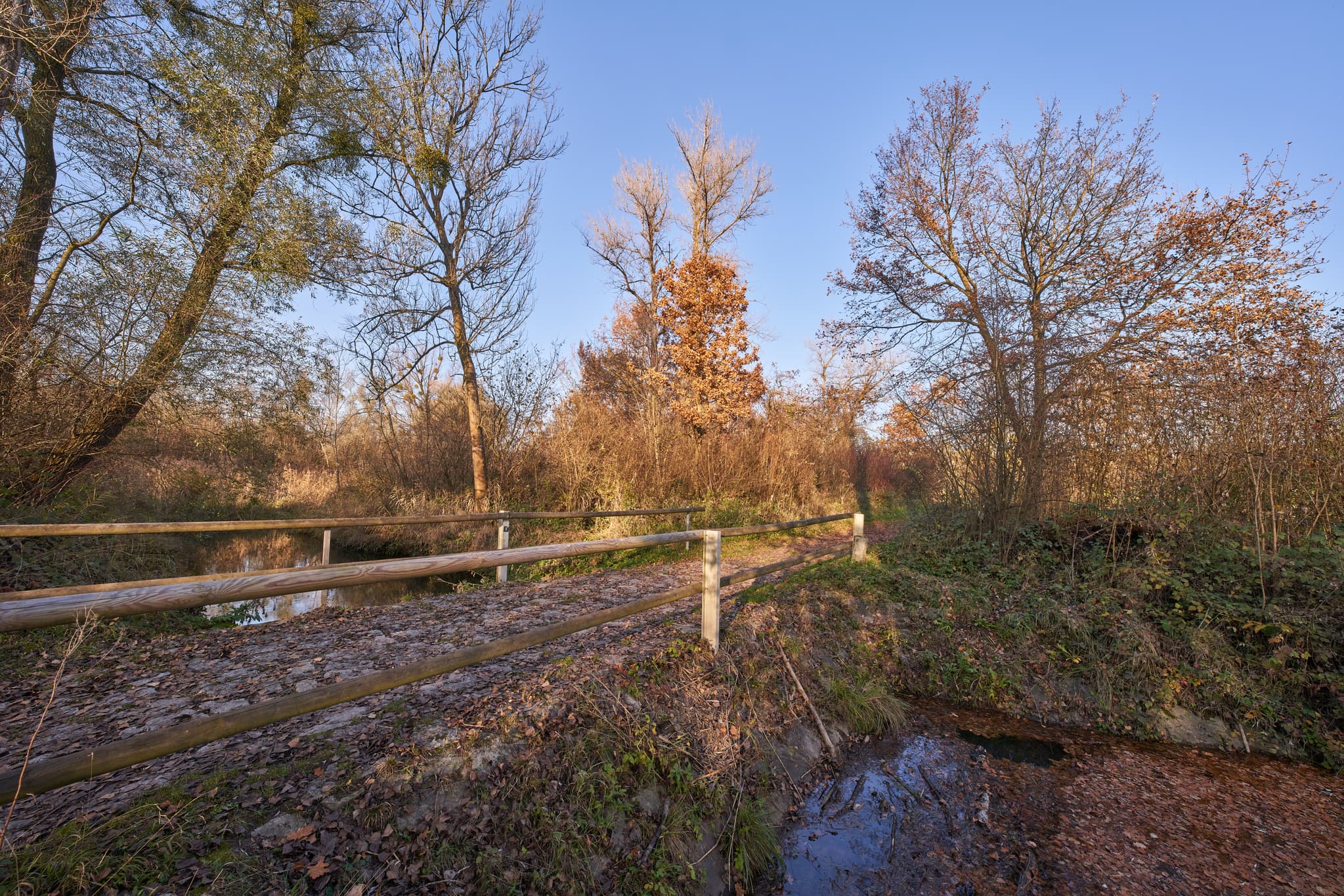 Waldsee Lago Herbst, Kirchdorf am Inn, Niederbayern - Waldweg in Kirchdorf am Inn, Rottal-Inn, Niederbayern. Die herbstliche Landschaft im Bäderdreieck, Deutschland, zeigt einen Bach, Bäume und Sonnenlicht.