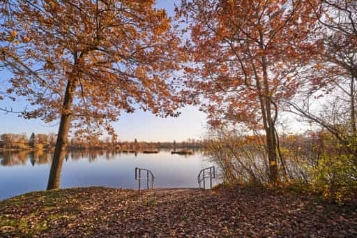 Waldsee Lago Herbst, Kirchdorf am Inn, Niederbayern