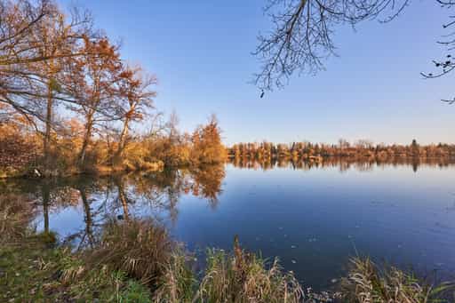 Waldsee Lago Herbst, Kirchdorf am Inn, PAN, Niederbayern