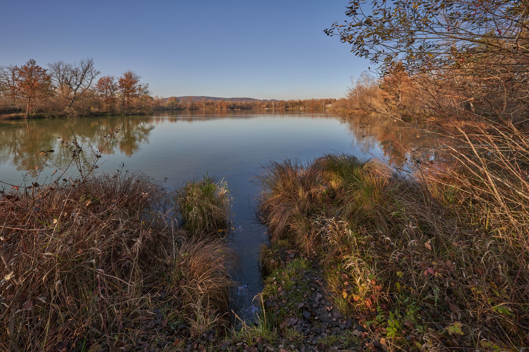 Waldsee Lago Herbst, Kirchdorf, Niederbayern, Bäderdreieck - Idyllischer Waldsee im Herbst in Kirchdorf am Inn, Rottal-Inn, Niederbayern. Ruhige Naturlandschaft. Ufervegetation spiegelt sich im klaren Wasser wider.