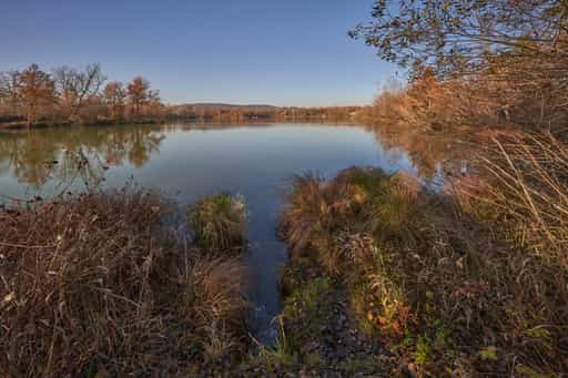 Waldsee Lago Herbst, Kirchdorf, Niederbayern, Bäderdreieck