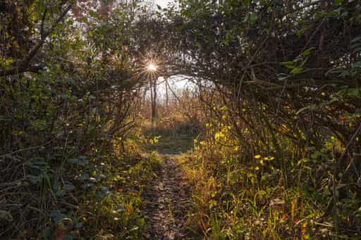 Waldsee Lago Herbst, Kirchdorf, Niederbayern, Holzland