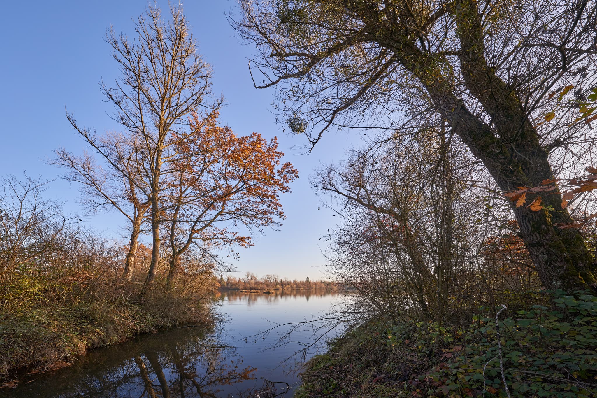 Waldsee Lago Herbst, Kirchdorf, PAN, Niederbayern, Holzland - Herbstlicher Waldsee in Kirchdorf am Inn, Rottal-Inn. Ruhiges Wasser spiegelt Bäume mit herbstlichem Laub. Idyllische Naturkulisse in Niederbayern.