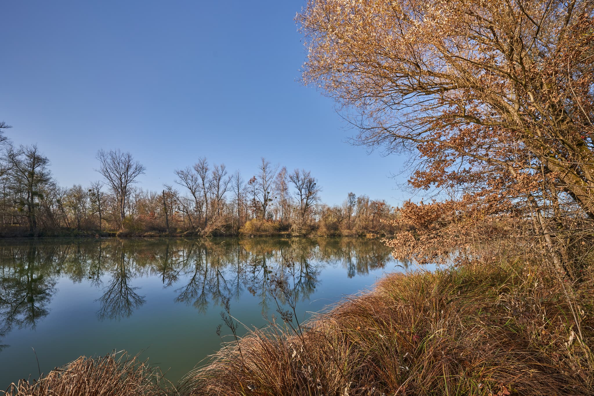 Waldsee Lago Herbst, PAN, Niederbayern, Bäderdreieck - Ruhiger See, herbstliche Ufervegetation unter blauem Himmel. Waldsee Lago Herbst, Kirchdorf am Inn, Rottal-Inn, Niederbayern.