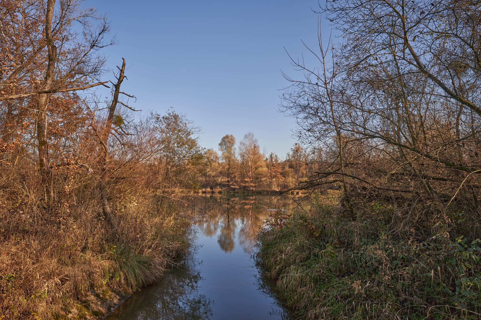 Waldsee Lago Herbst, PAN, Niederbayern, Bäderdrieck - Herbstlandschaft am Waldsee Lago Herbst bei Kirchdorf am Inn, Rottal-Inn. Ruhiges Gewässer inmitten herbstlicher Bäume.