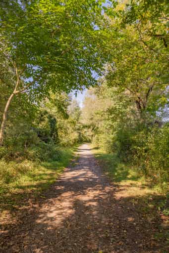 Waldsee Lago Sommer, Kirchdorf am Inn, Rottal-Inn
