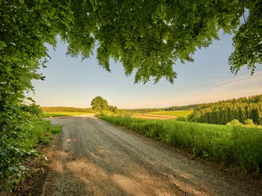 Waldweg nach Arbing von Thaler Graben, Waldberg, Reischach
