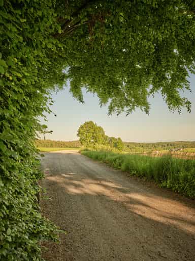 Waldweg nach Oberthal, Thaler Graben, Altötting, Oberbayern
