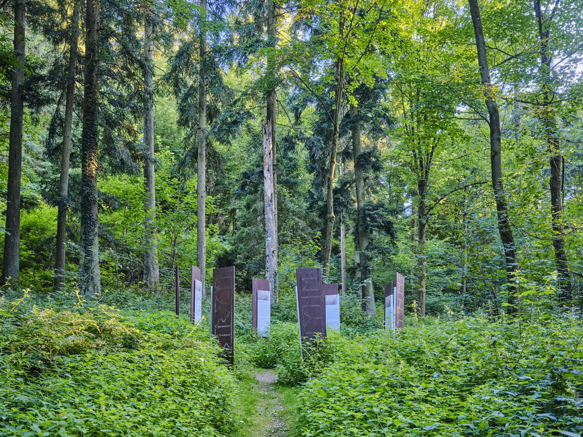 Waldwunderwelt, Baumerklärungen, Bad Griesbach, Passau - Baumerklärunggen an der Waldwunderwelt in Bad Griesbach, Landkreis Passau, Niederbayern, Bayern. Das Bild zeigt einen Waldweg mit mystischen Steinen.