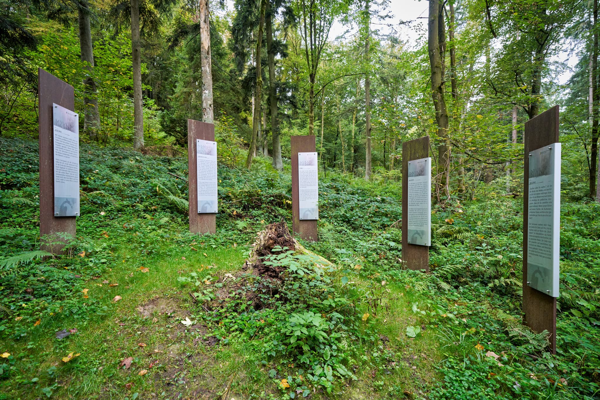 Waldwunderwelt, Baumerklärungen, Bad Griesbach, Passau - Baumerklärunggen an der Waldwunderwelt in Bad Griesbach, Landkreis Passau, Niederbayern, Bayern. Das Bild zeigt einen Waldweg mit mystischen Steinen.