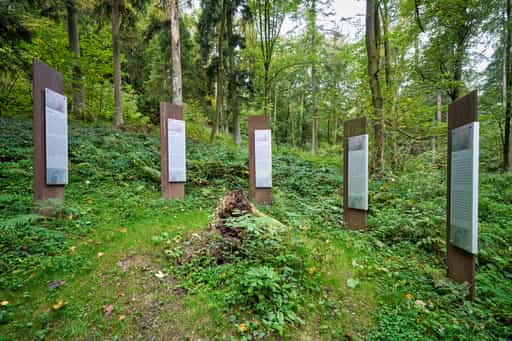 Waldwunderwelt, Baumerklärungen, Bad Griesbach, Passau