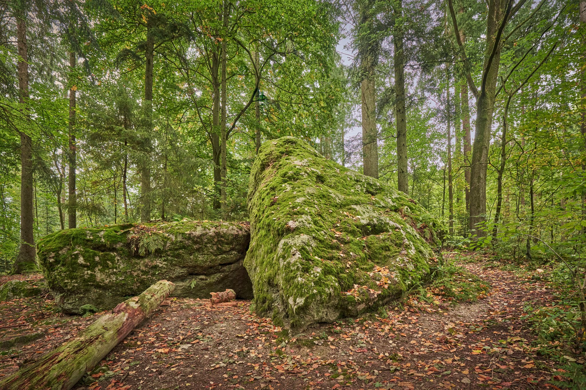 Waldwunderwelt Teufelsfelsen, Bad Griesbach, Passau - Felsmalereien am Teufelsfelsen in Bad Griesbach, Landkreis Passau, Niederbayern, Bayern, Deutschland. Das Bild zeigt Details der Felsstrukturen mit Farbreste.