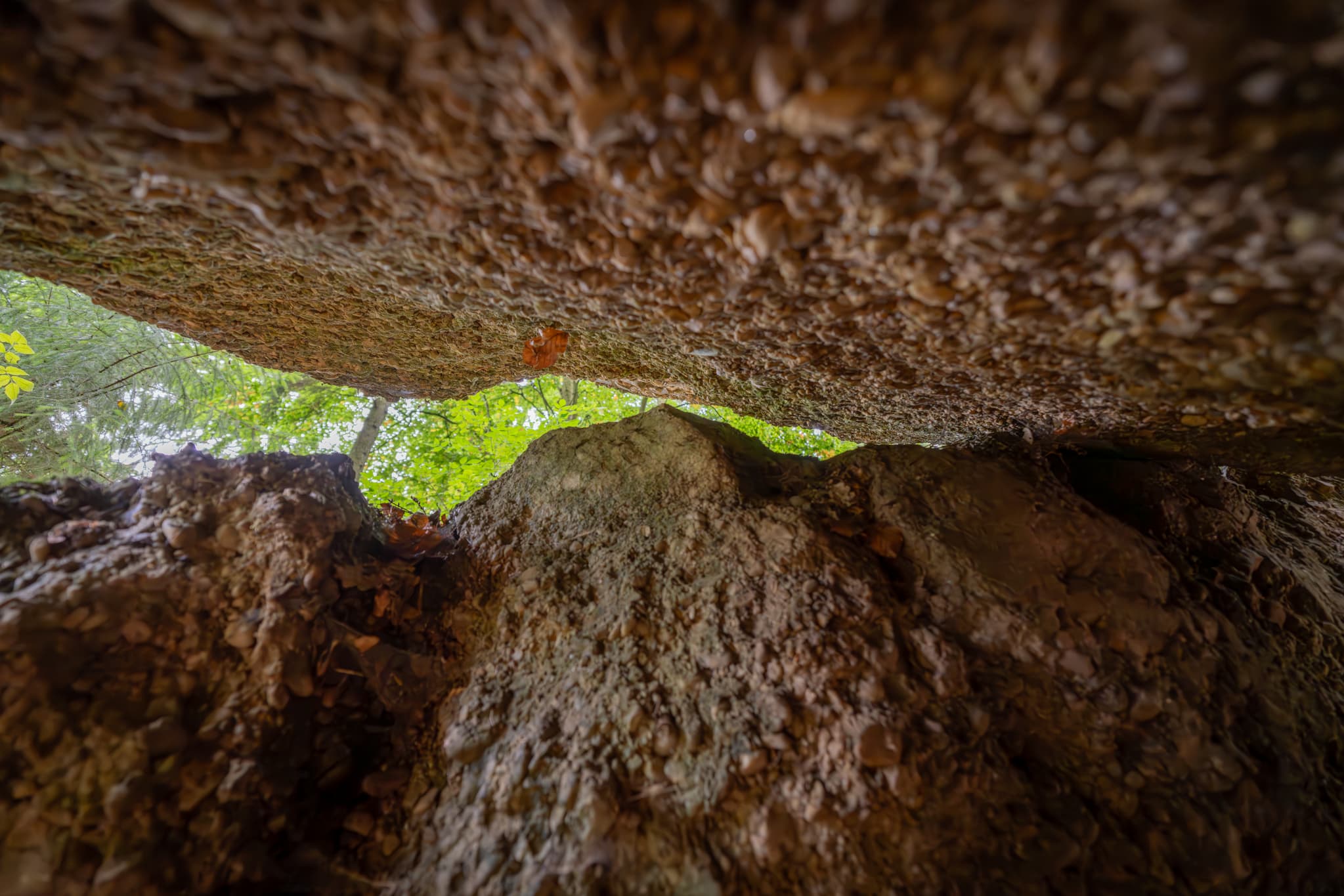 Waldwunderwelt Teufelsfelsen Detail, Bad Griesbach, Passau - Felsmalereien am Teufelsfelsen in Bad Griesbach, Landkreis Passau, Niederbayern, Bayern, Deutschland. Das Bild zeigt Details der Felsstrukturen mit Farbreste.