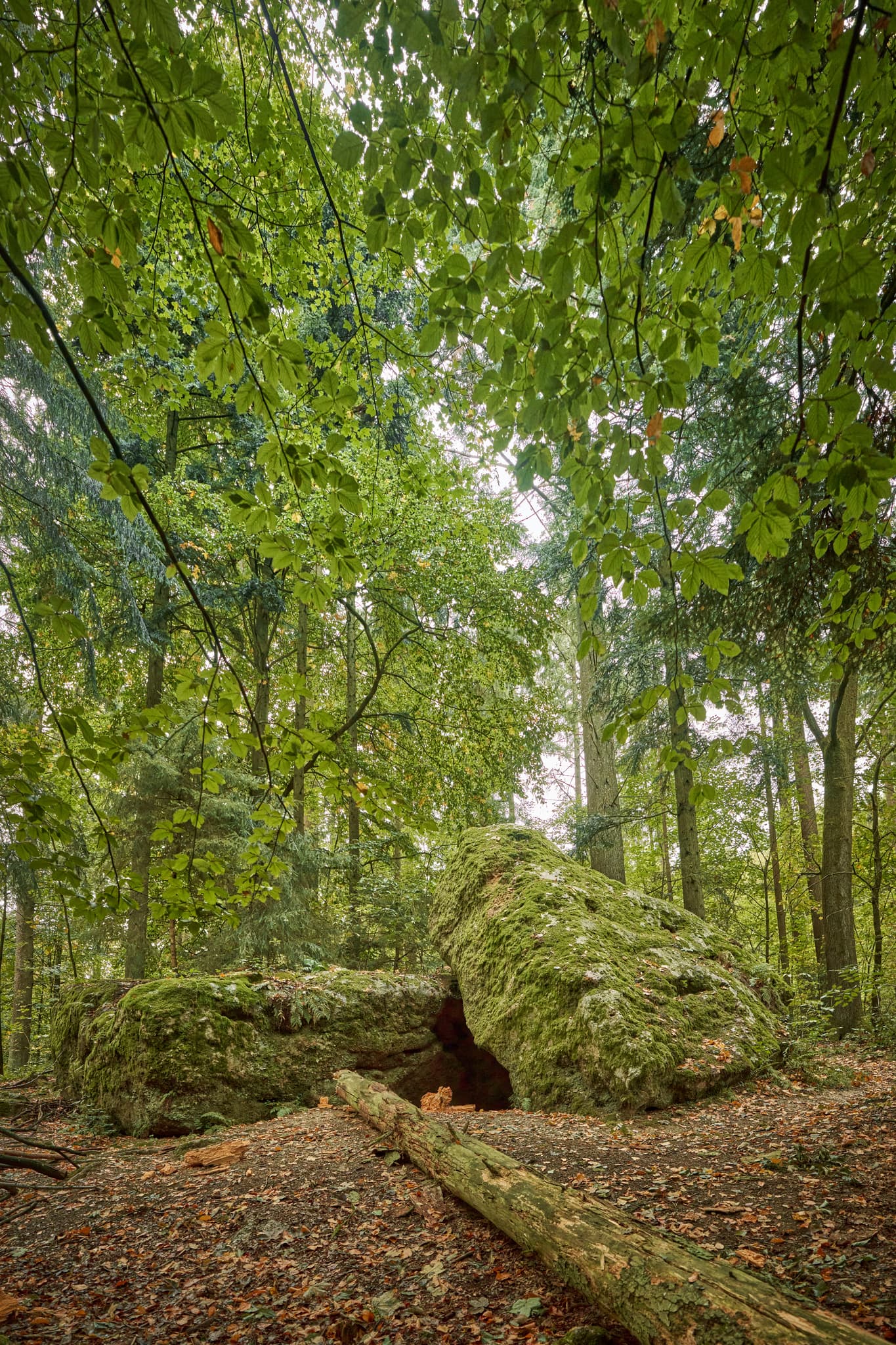 Waldwunderwelt Teufelsstein, Bad Griesbach, Passau - Teufelsstein in Bad Griesbach, Landkreis Passau, Niederbayern, Bayern, Deutschland. Das Bild zeigt Details der Felsstrukturen mit Farbreste.