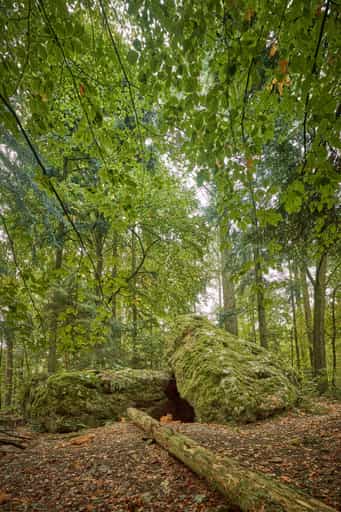 Waldwunderwelt Teufelsstein, Bad Griesbach, Passau