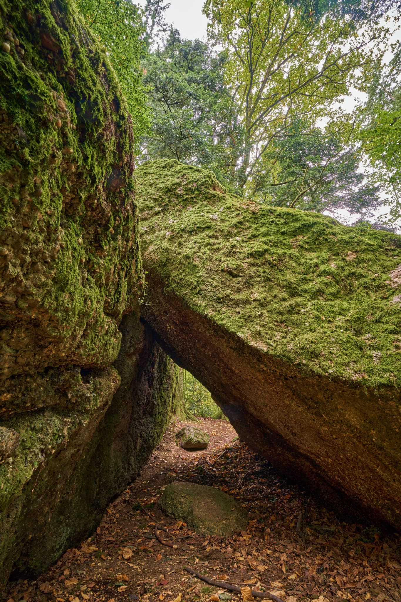 Waldwunderwelt Teufelsstein, Bad Griesbach, Passau - Teufelsstein in Bad Griesbach, Landkreis Passau, Niederbayern, Bayern, Deutschland. Das Bild zeigt Details der Felsstrukturen mit Farbreste.