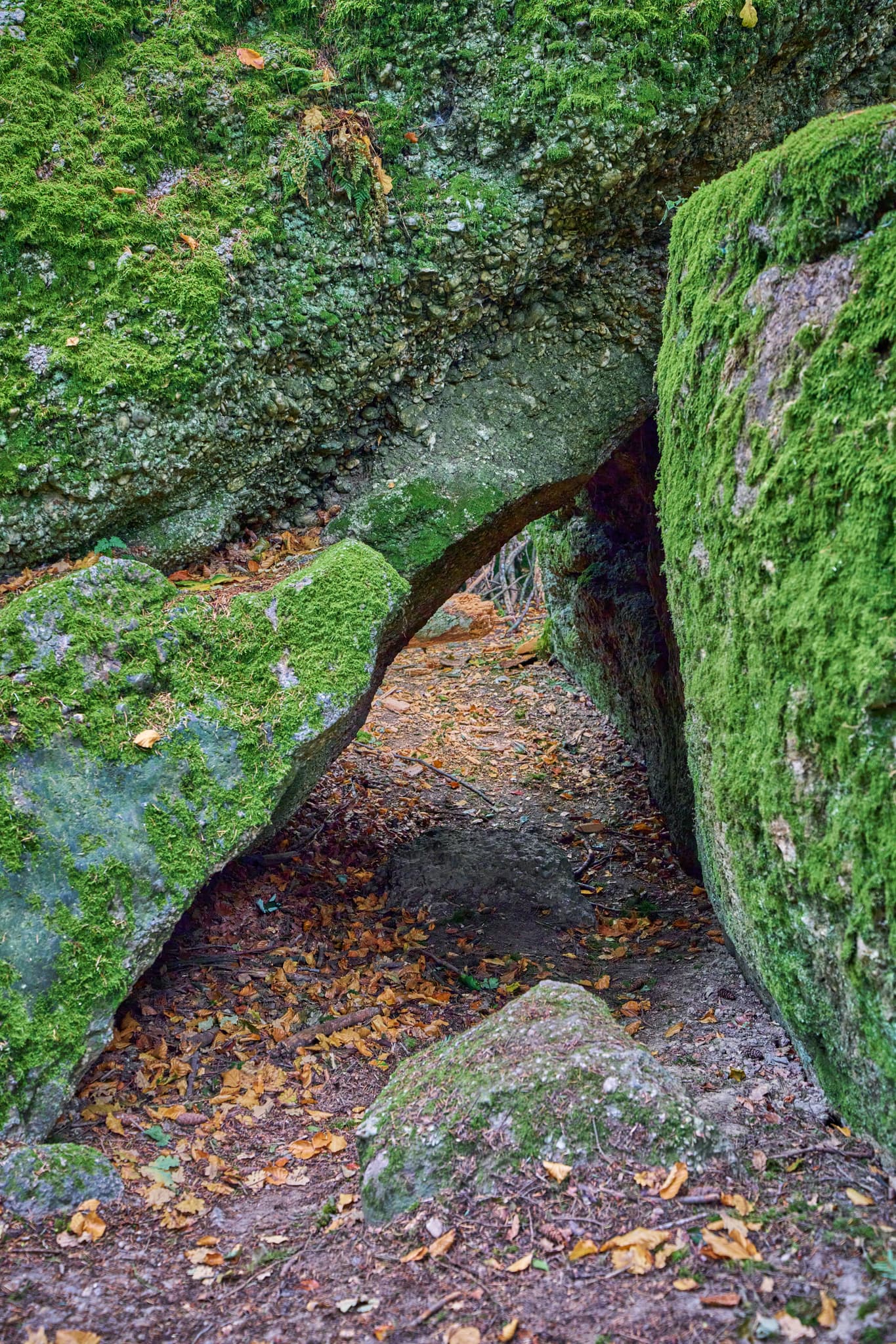 Waldwunderwelt Teufelsstein, Bad Griesbach, Passau - Teufelsstein in Bad Griesbach, Landkreis Passau, Niederbayern, Bayern, Deutschland. Das Bild zeigt Details der Felsstrukturen mit Farbreste.