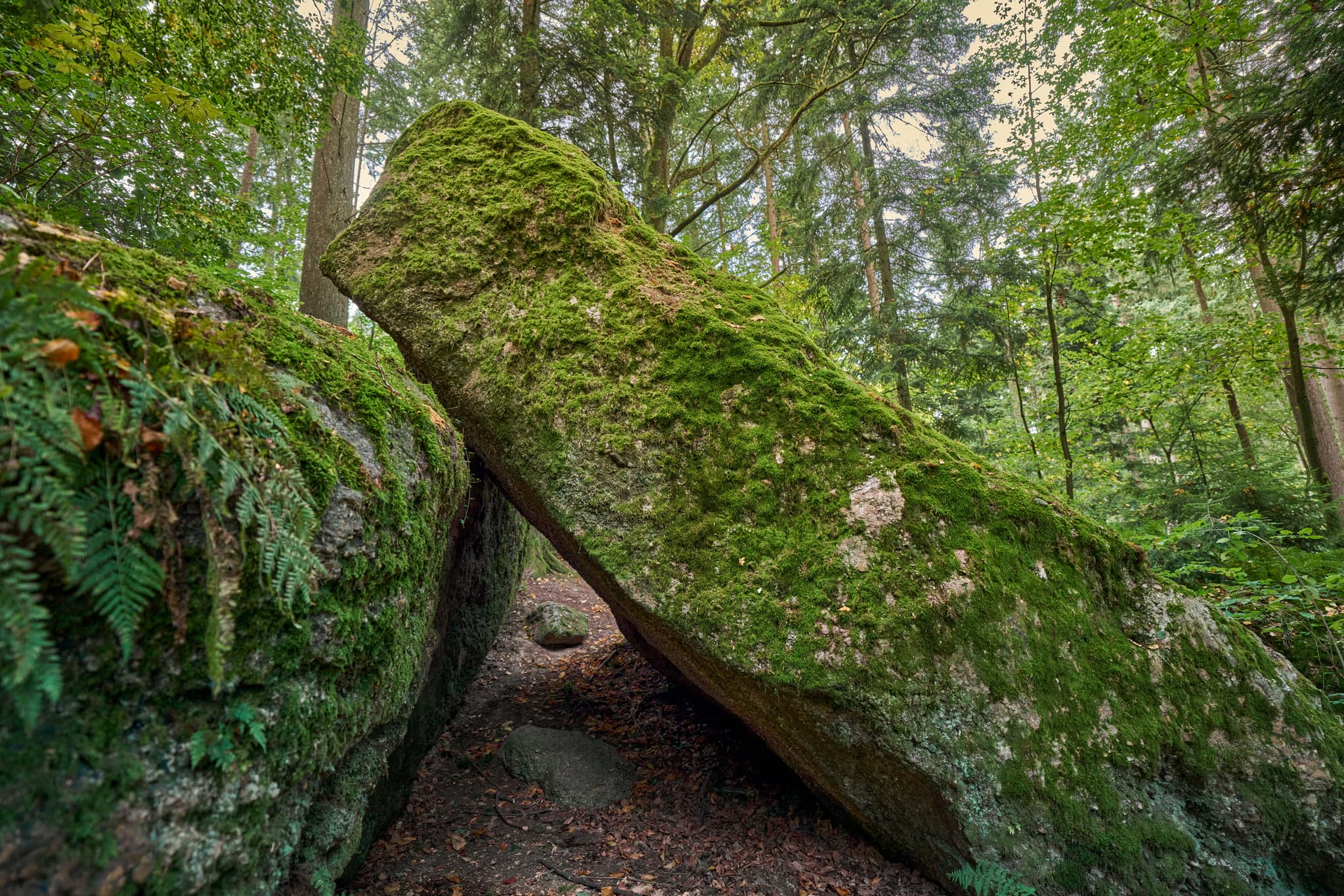 Waldwunderwelt Teufelsstein, Bad Griesbach, Passau - Teufelsstein in Bad Griesbach, Landkreis Passau, Niederbayern, Bayern, Deutschland. Das Bild zeigt Details der Felsstrukturen mit Farbreste.