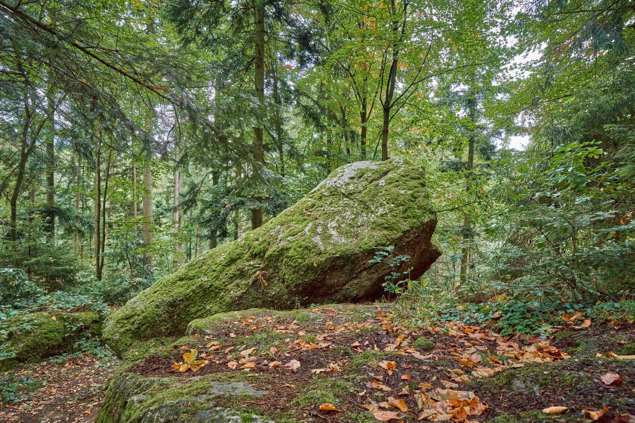 Waldwunderwelt Teufelsstein, Bad Griesbach, Passau - Teufelsstein in Bad Griesbach, Landkreis Passau, Niederbayern, Bayern, Deutschland. Das Bild zeigt Details der Felsstrukturen mit Farbreste.