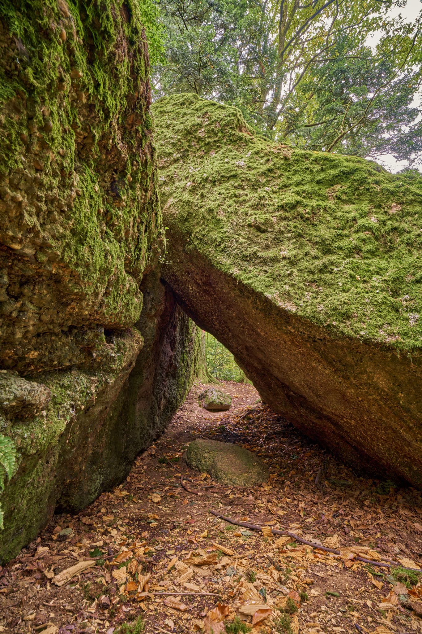 Waldwunderwelt Teufelsstein, Bad Griesbach, Passau - Teufelsstein in Bad Griesbach, Landkreis Passau, Niederbayern, Bayern, Deutschland. Das Bild zeigt Details der Felsstrukturen mit Farbreste.