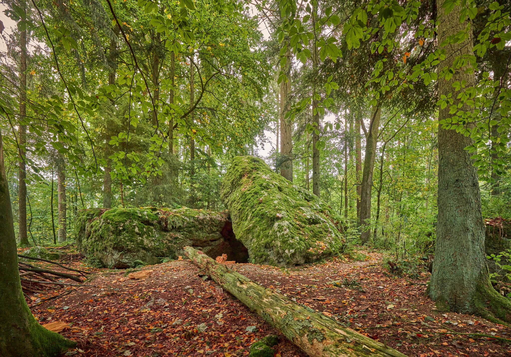 Waldwunderwelt Teufelsstein, Bad Griesbach, Passau - Teufelsstein in Bad Griesbach, Landkreis Passau, Niederbayern, Bayern, Deutschland. Das Bild zeigt Details der Felsstrukturen mit Farbreste.