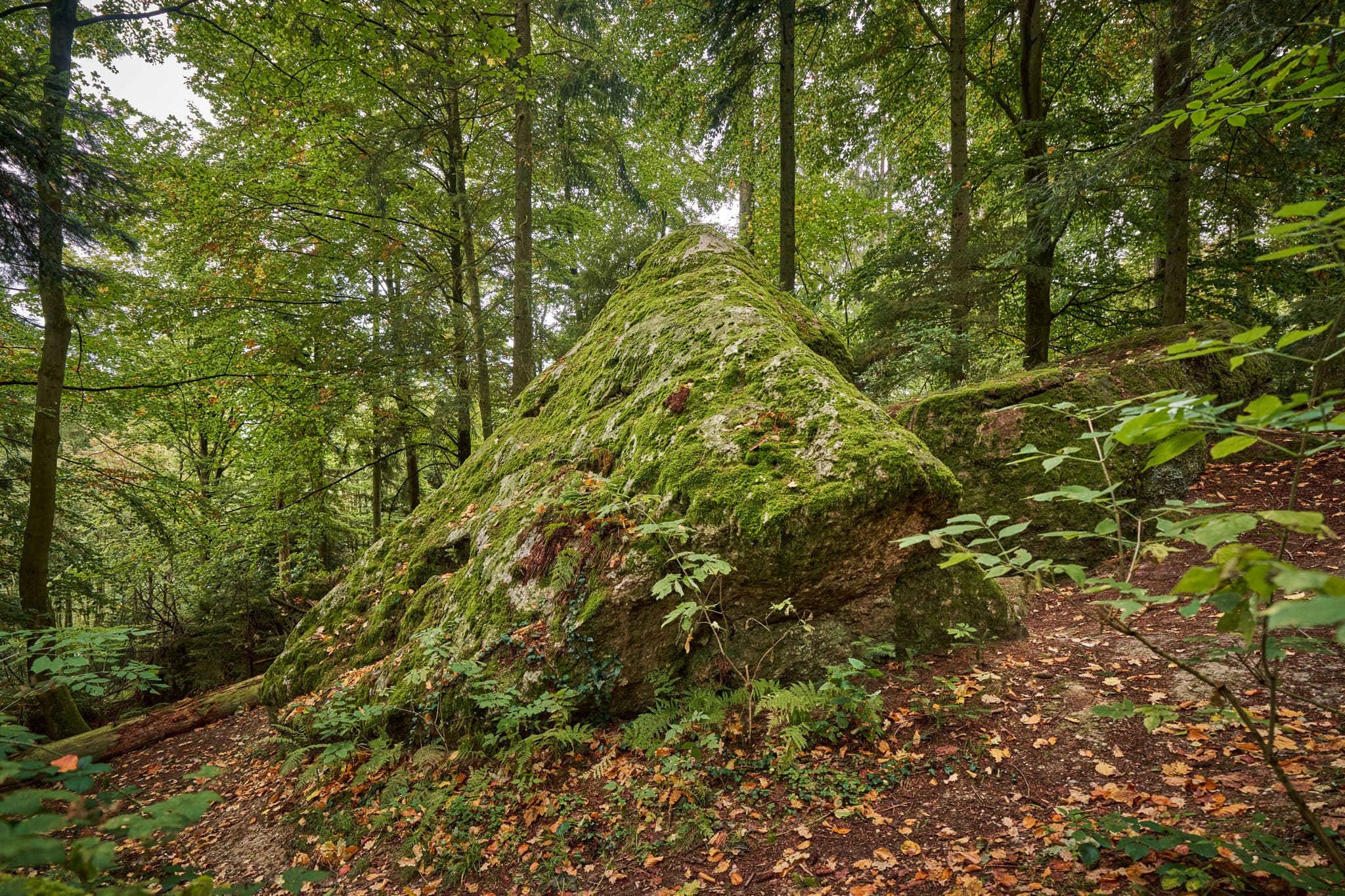 Waldwunderwelt Teufelsstein, Bad Griesbach, Passau - Teufelsstein in Bad Griesbach, Landkreis Passau, Niederbayern, Bayern, Deutschland. Das Bild zeigt Details der Felsstrukturen mit Farbreste.