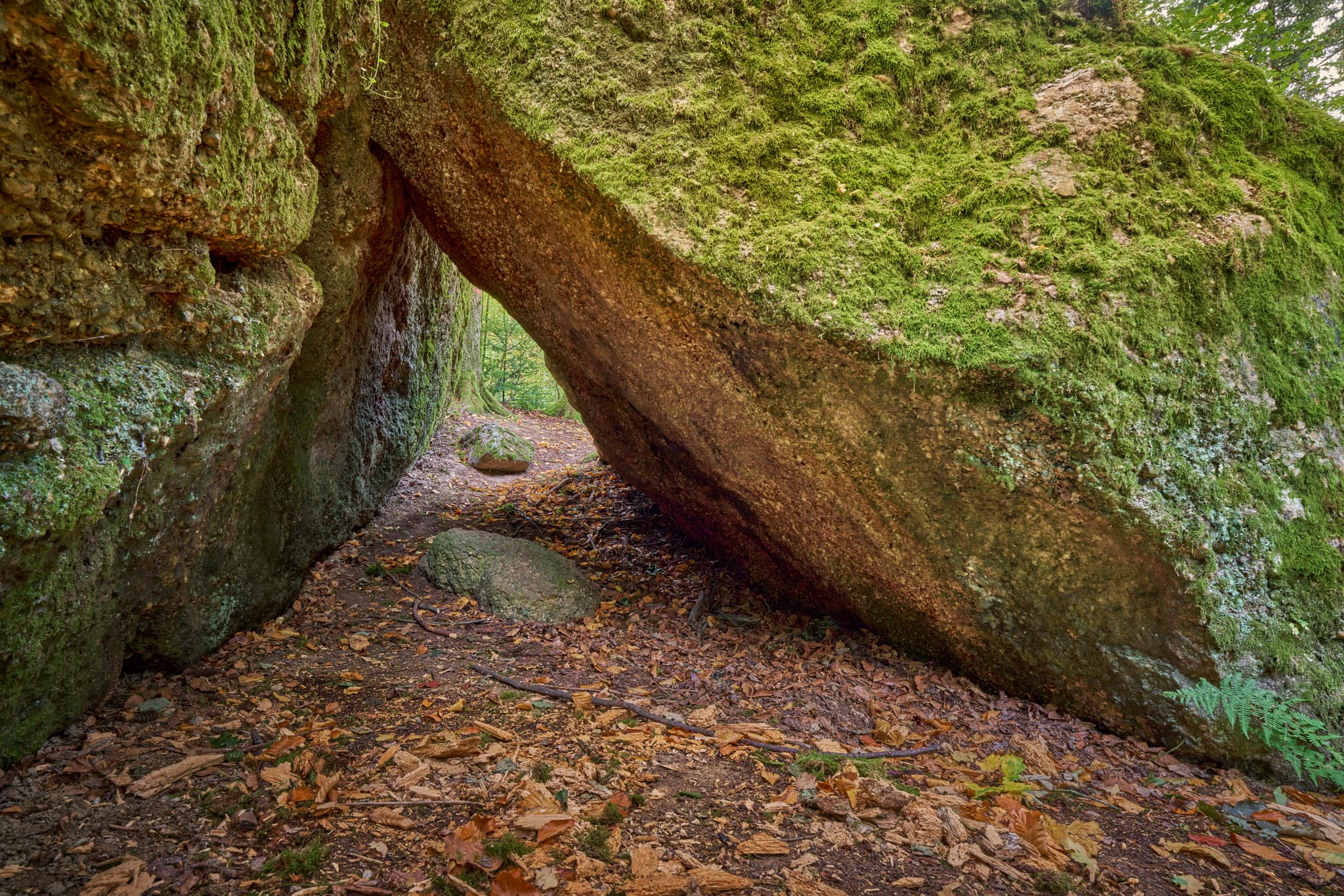 Waldwunderwelt Teufelsstein, Bad Griesbach, Passau - Teufelsstein in Bad Griesbach, Landkreis Passau, Niederbayern, Bayern, Deutschland. Das Bild zeigt Details der Felsstrukturen mit Farbreste.