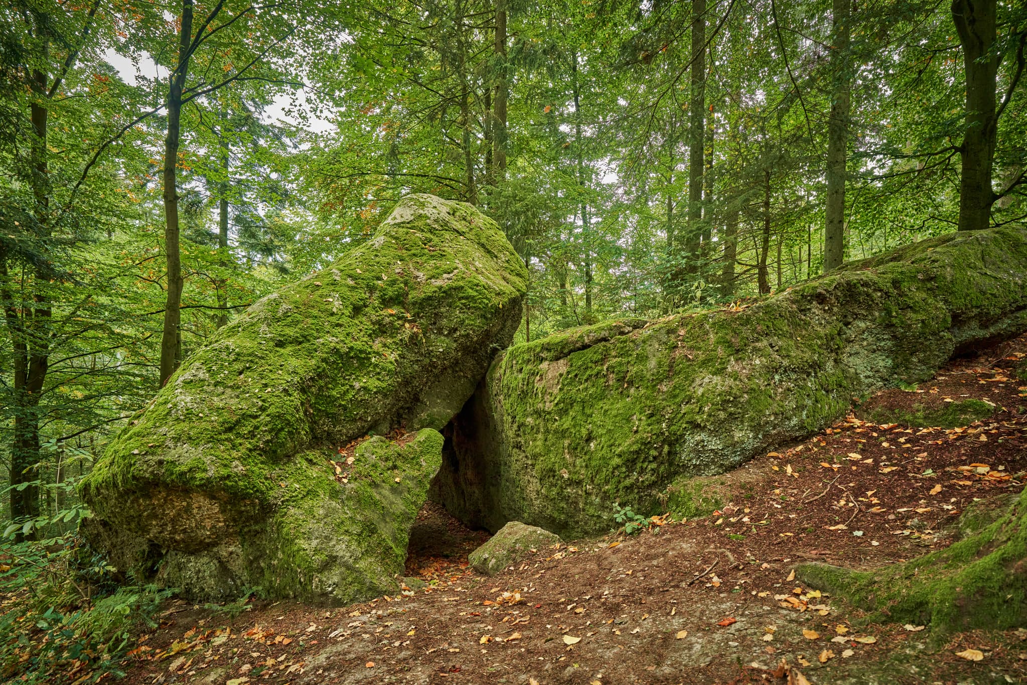 Waldwunderwelt Teufelsstein, Bad Griesbach, Passau - Teufelsstein in Bad Griesbach, Landkreis Passau, Niederbayern, Bayern, Deutschland. Das Bild zeigt Details der Felsstrukturen mit Farbreste.