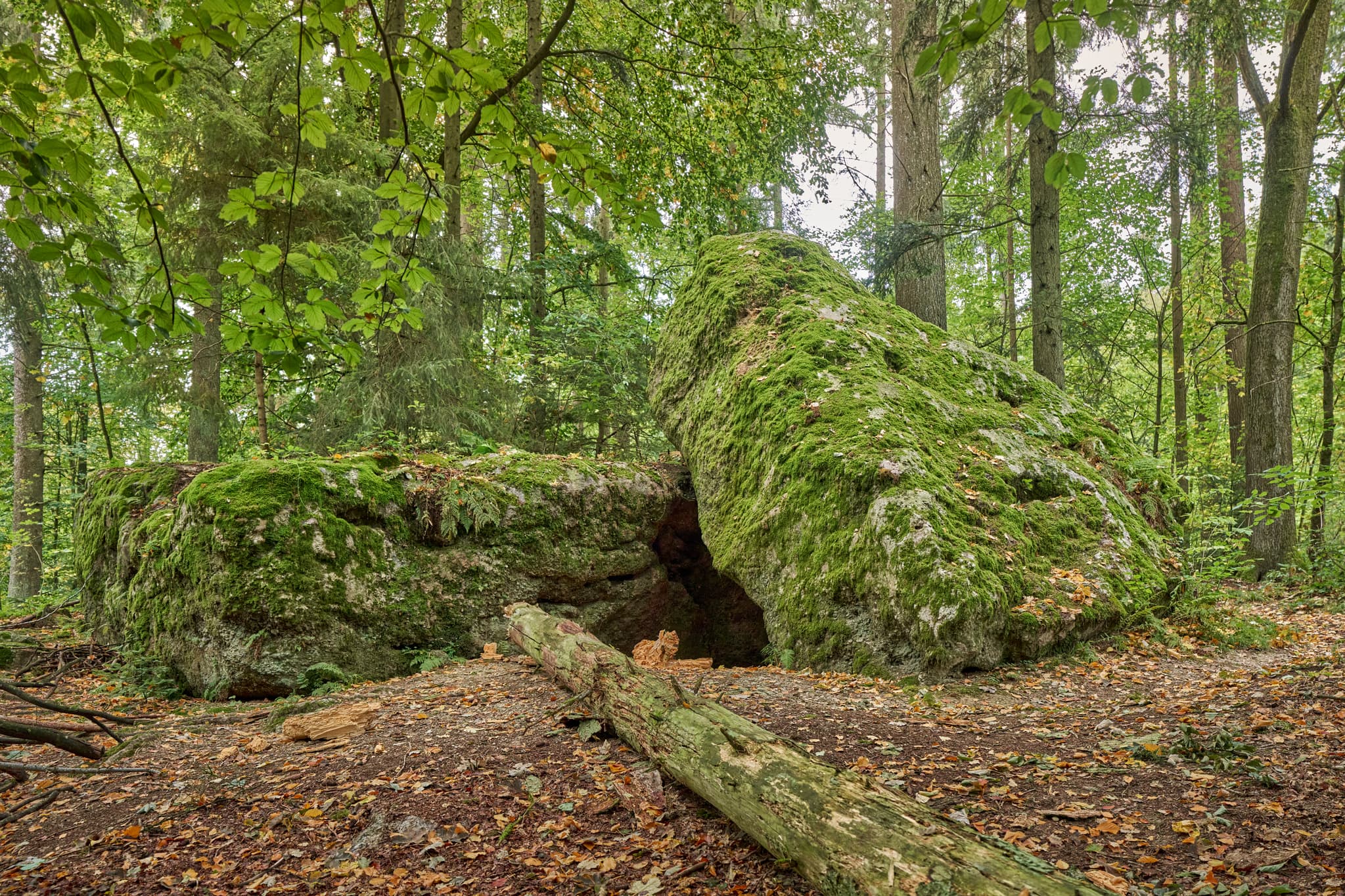 Waldwunderwelt Teufelsstein, Bad Griesbach, Passau - Teufelsstein in Bad Griesbach, Landkreis Passau, Niederbayern, Bayern, Deutschland. Das Bild zeigt Details der Felsstrukturen mit Farbreste.
