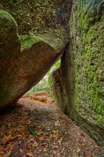 Waldwunderwelt Teufelsstein Detail, Bad Griesbach, Passau