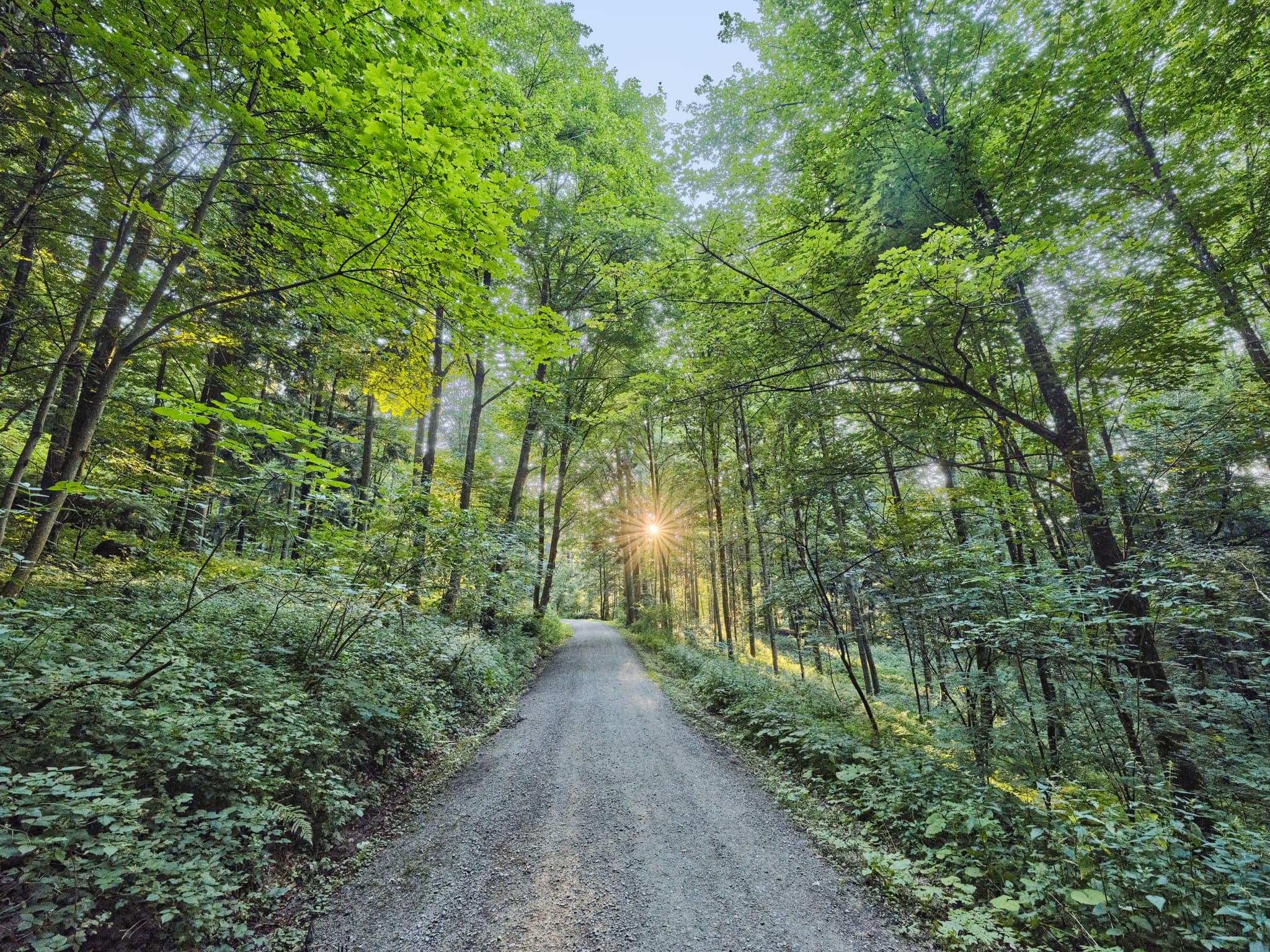 Waldwunderwelt, Wanderweg, Bad Griesbach, Passau - Wanderweg der Waldwunderwelt in Bad Griesbach, Landkreis Passau, Niederbayern, Bayern. Das Bild zeigt einen Waldweg mit mystischen Steinen.