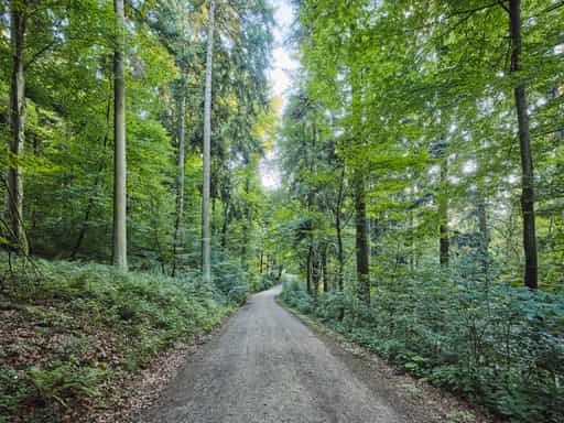 Waldwunderwelt, Wanderweg, Bad Griesbach, Passau