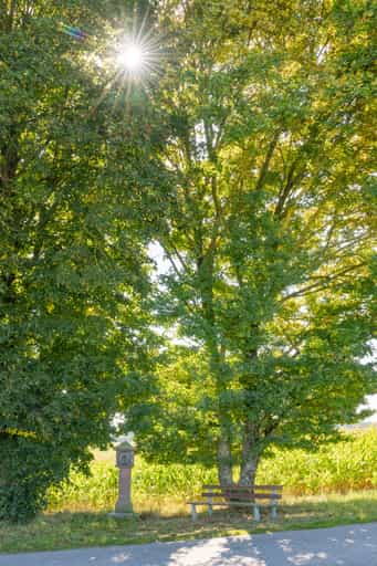 Wallfahrtskirche Mariä Himmelfahrt, Guteneck, Rottal-Inn