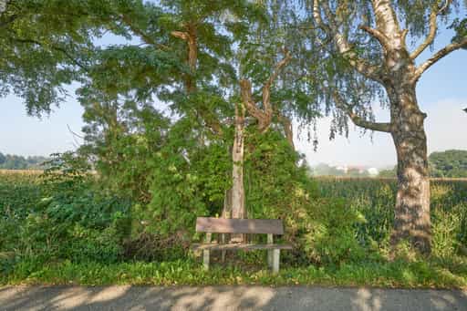 Wallner a.d. Osterwies, St.-Rupert-Pilgerweg, Altötting