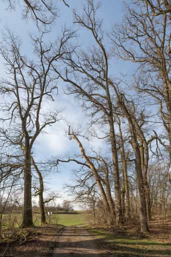 Waltdegiet am Isen-Stausee, Altötting, Oberbayern