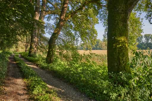Wanderweg am Schloss Frauenbühl, Winhöring, Altötting