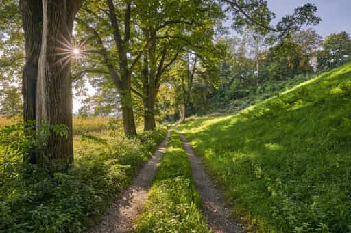 Wanderweg am Schlosshang, Winhöring, Altötting, Oberbayern