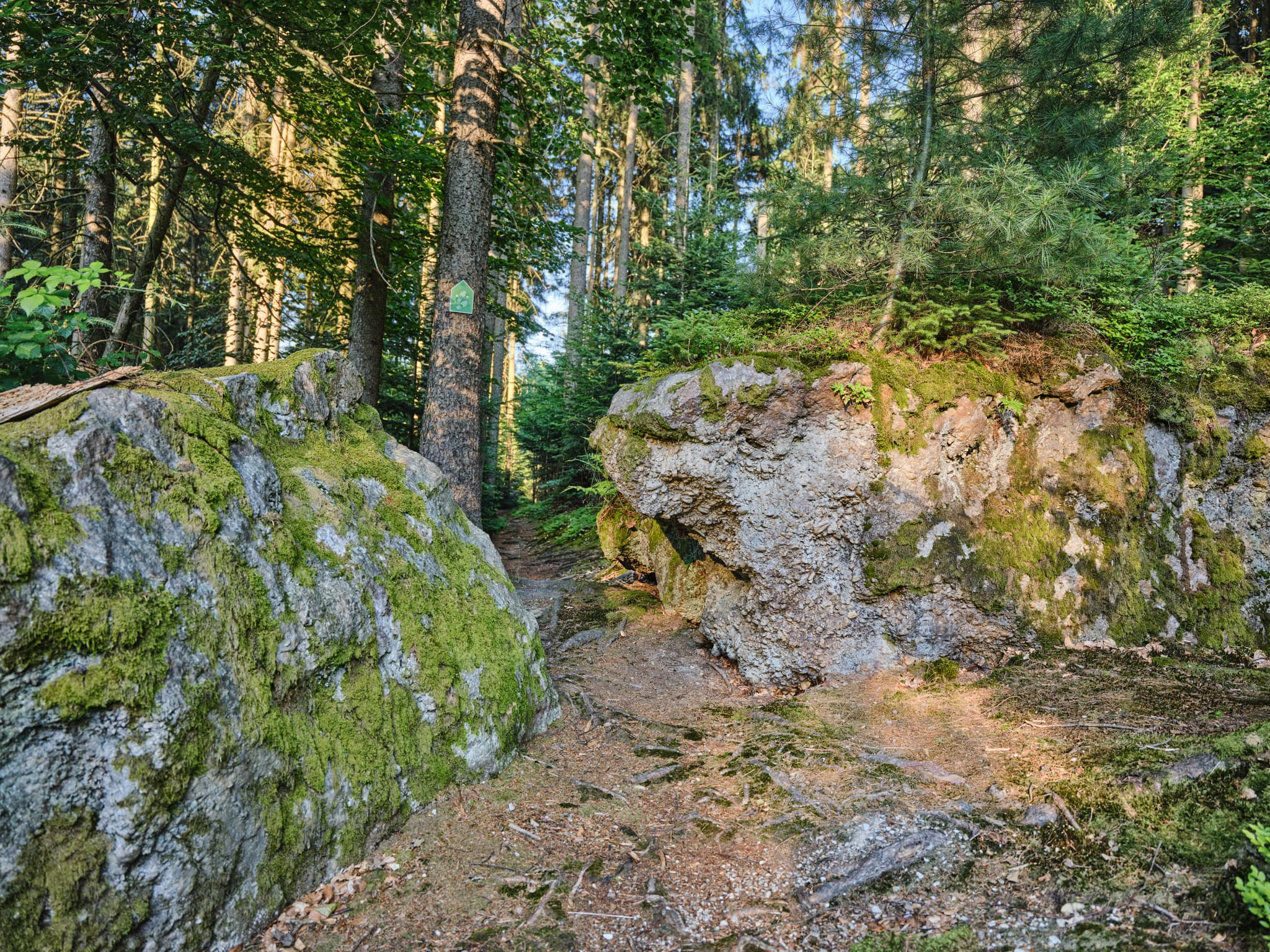 Wanderweg zum Kultstein, Bad Griesbach, Passau - Waldweg zum Kultstein mit Felsen in St. Salvator, Bad Griesbach, Landkreis Passau, Niederbayern. Bewachsener Pfad durch einen dichten Wald mit großen Steinen.