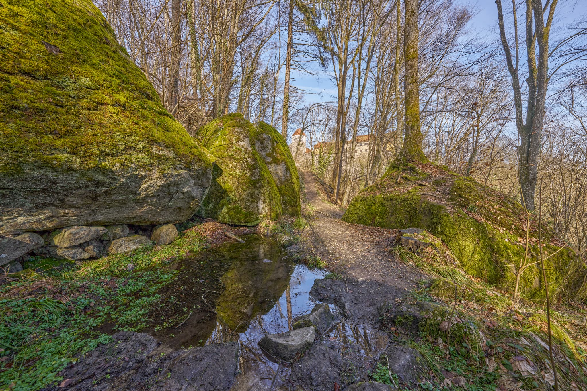 Wanderwege um Schloss Neuburg am Inn, Passau, Niederbayern - Waldpfad führt zu Schloss Neuburg am Inn. Moosbedeckte Felsen säumen den Weg. Schloss im Hintergrund, Landkreis Passau, Niederbayern, Donau-Wald, Deutschland.