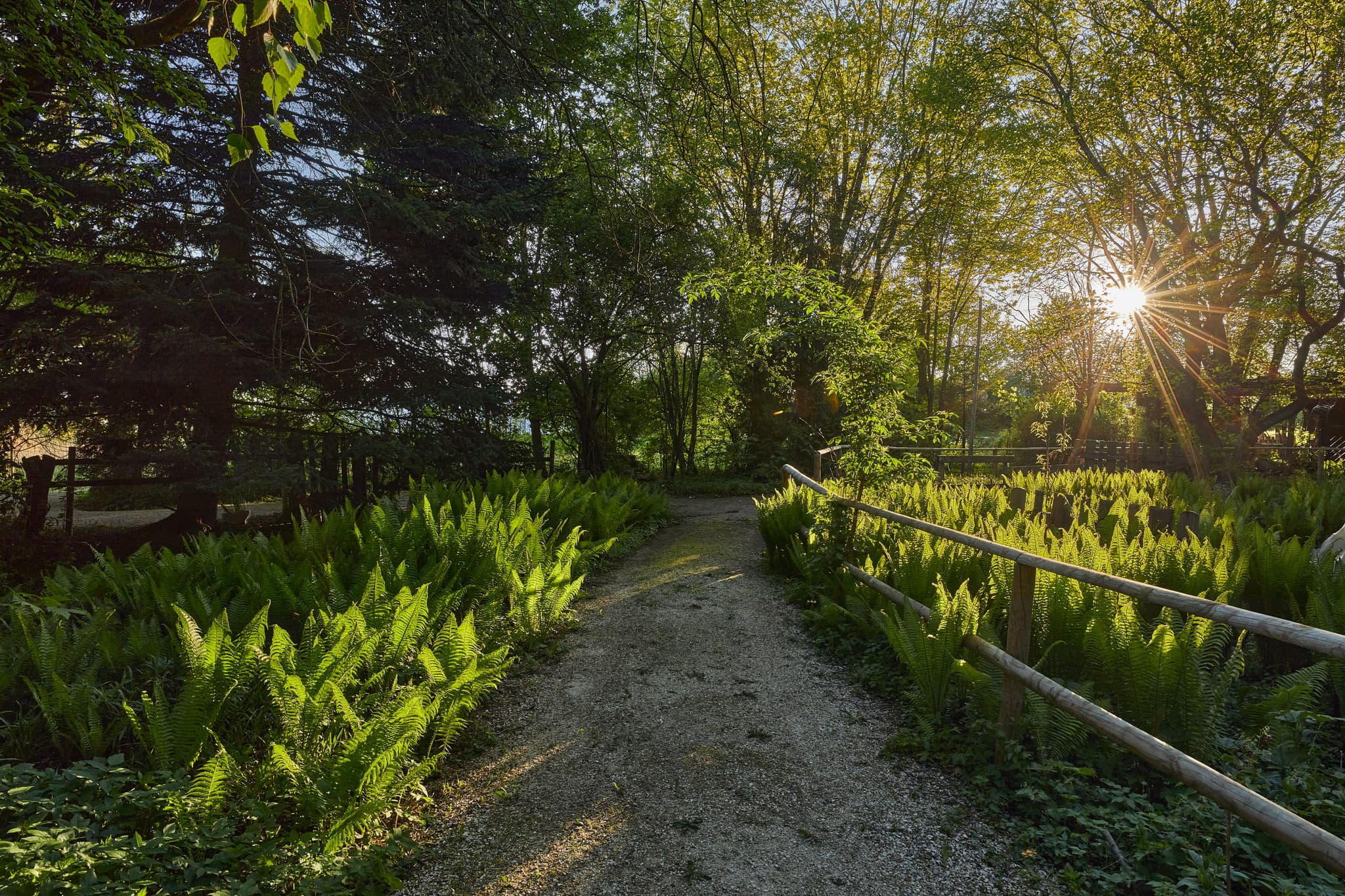 Wassergarten Mitterskirchen, Rottal-Inn, Idyllischer Weg