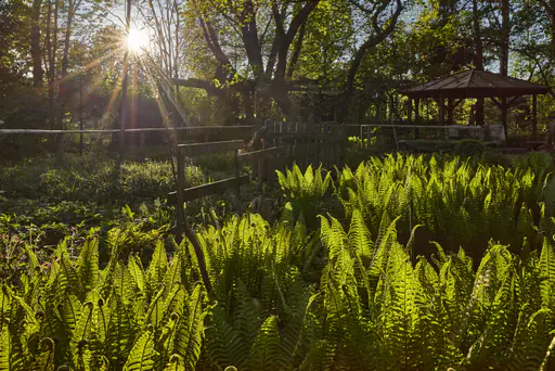 Wassergarten Mitterskirchen, Rottal-Inn, Niederbayern