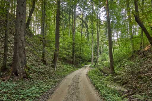 Watzinger Bach Weg Richtung Aich, Winhöring, Altötting