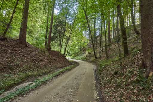 Watzinger Bach Weg Richtung Aich, Winhöring, Altötting