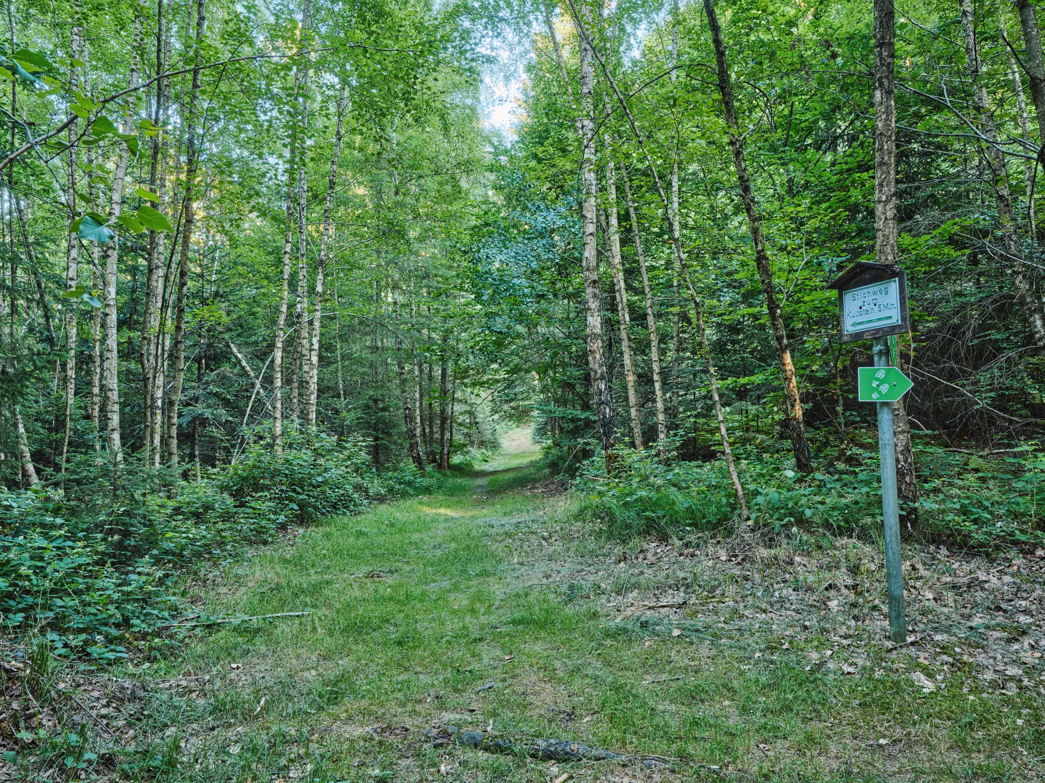 Weg 5 min. zum Kultstein, Bad Griesbach, Passau - Waldweg St. Salvator zum Kultstein, Bad Griesbach, Landkreis Passau, Niederbayern, Bayern. Deutschland.