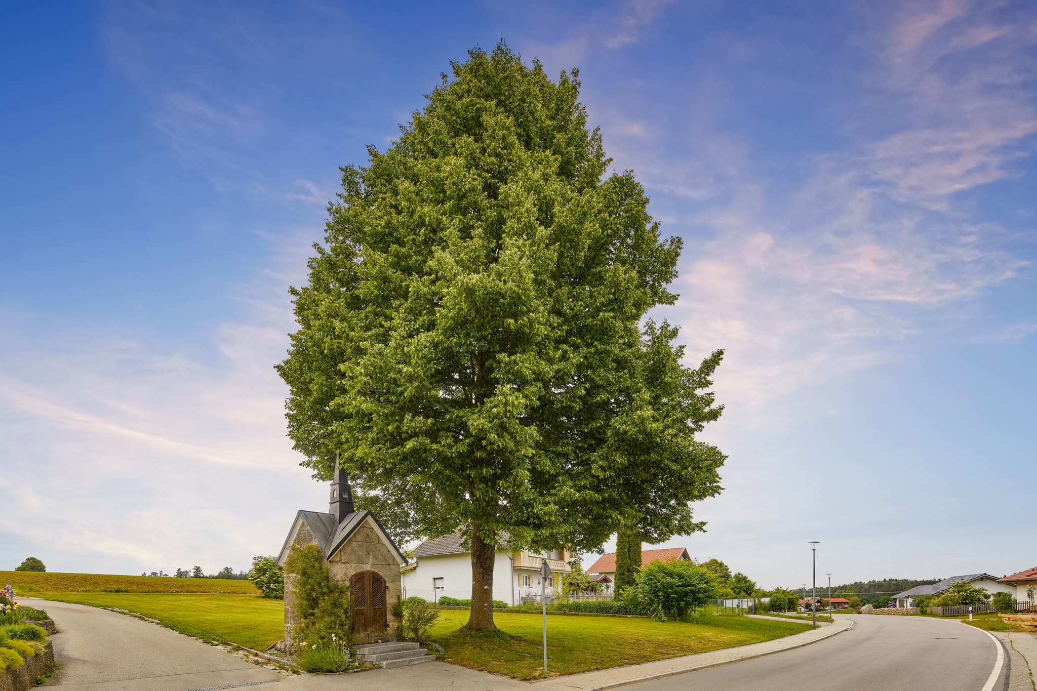Weg Kapelle nach Rainbichl, Tyrlaching, Altötting - Malerische Kapelle und großer Baum an einem Weg in Tyrlaching, Landkreis Altötting, Oberbayern, Region Inn-Salzach, Deutschland. Ruhige ländliche Landschaft.