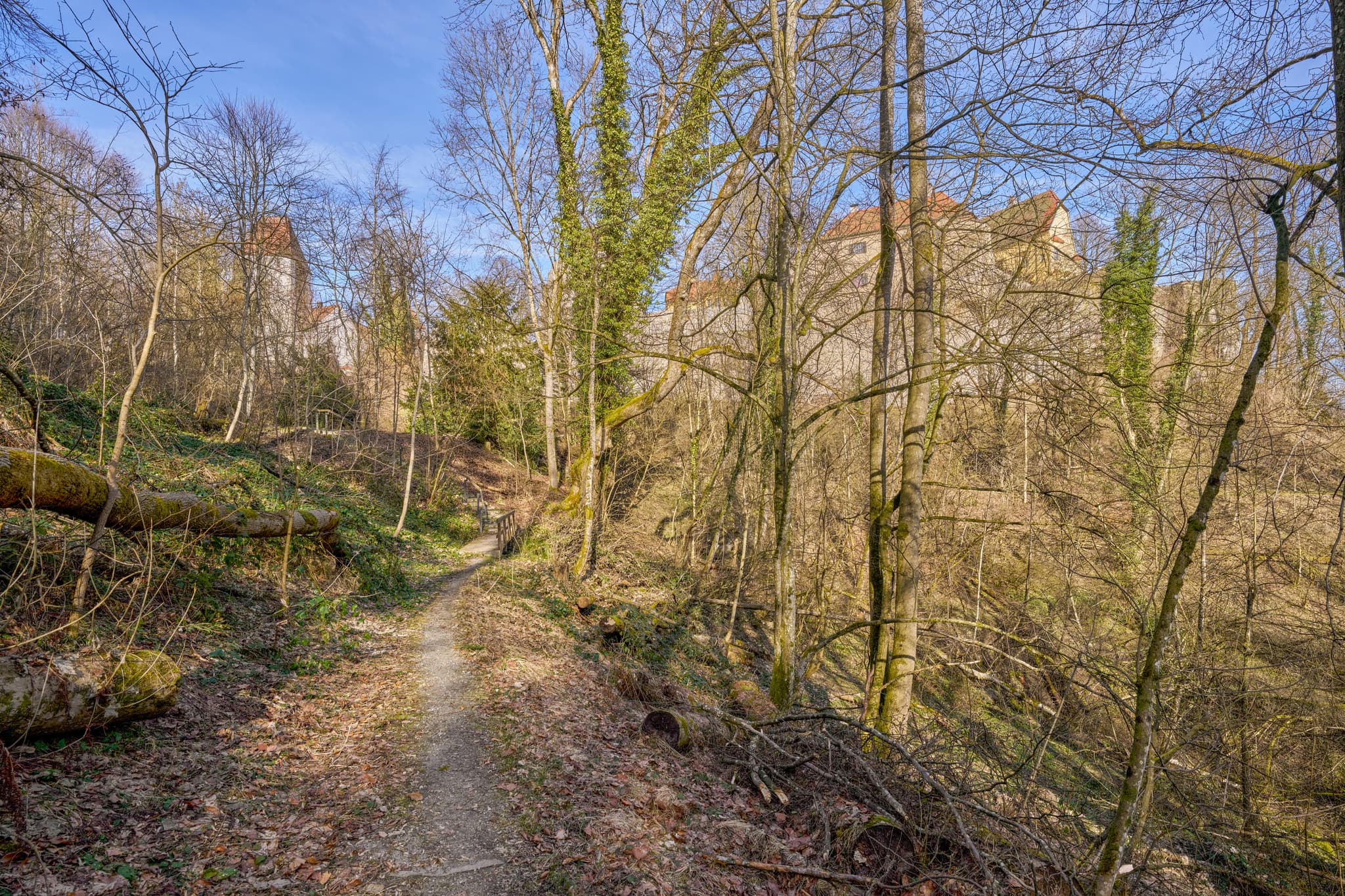 Weg Schloss Neuburg, Neuburg am Inn, Passau, Niederbayern - Wandern um Schloss Neuburg in Neuburg am Inn, Landkreis Passau, Niederbayern, Donau-Wald. Ein Waldweg führt durch die bewaldete Landschaft. Deutschland.